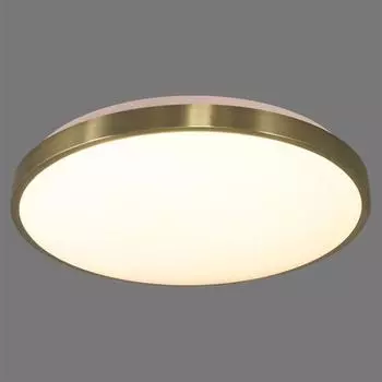 Светильник настенно-потолочный светодиодный Lota Bronze 2089/DL с пультом управления, 14 м², регулируемый свет, цвет белый