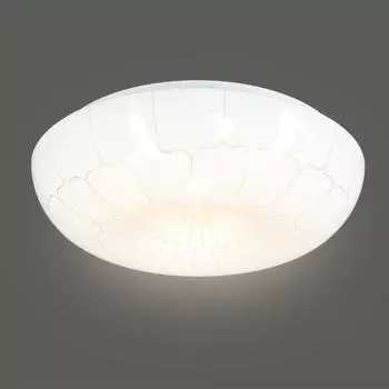 Светильник настенно-потолочный светодиодный Паутина 16 м² белый свет цвет белый/серебристый