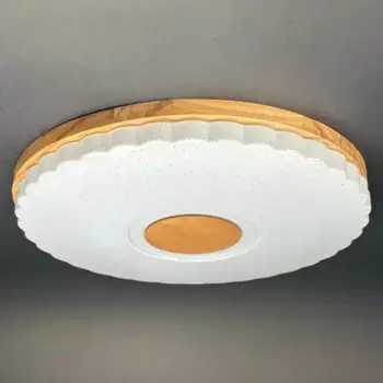 Светильник настенно-потолочный светодиодный Виола 90 Вт с пультом управления 34 м регулируемый свет цвет белый