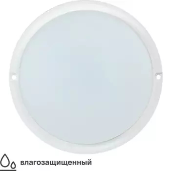 Светильник настенно-потолочный светодиодный влагозащищенный IEK ДПО4002 10 м, нейтральный белый свет, цвет белый
