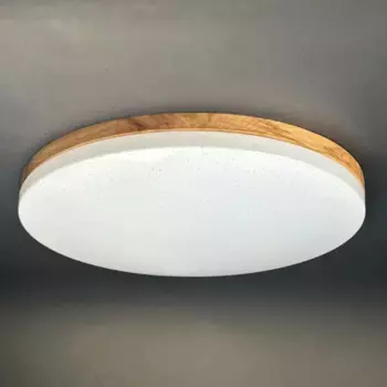 Светильник настенно-потолочный светодиодный Зора 90 Вт с пультом управления 34 м регулируемый свет цвет белый