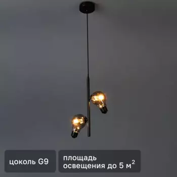 Светильник подвесной Evidence 2 лампы 5 м цвет черный
