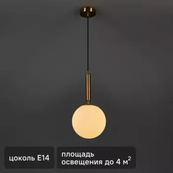 Светильник подвесной Freya FR5125PL-01BS
