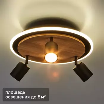 Светильник потолочный Lumion Ledio 6572/15CLR 3 лампы и светодиодная подсветка 8 м нейтральный белый свет цвет черный