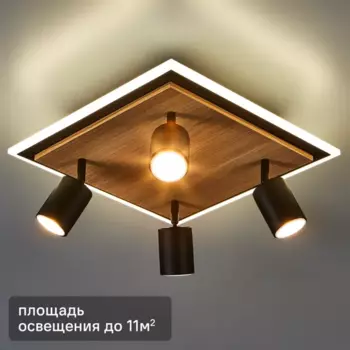 Светильник потолочный Ledio 6572/15CLS 4 лампы и светодиодная подсветка 11 м нейтральный белый свет цвет черный