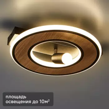 Светильник потолочный светодиодный Lumion Ledio Pine 6572/24CL 10 м нейтральный белый свет цвет черный