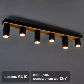 Светильник потолочный Moderni Pine 6573/6C 6 ламп 12 м цвет черный