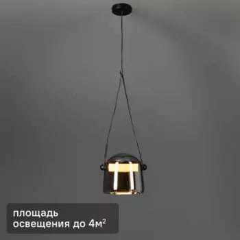 Светильник подвесной светодиодный Aurum FR5471PL-L12B 4 м цвет серебристо-черный