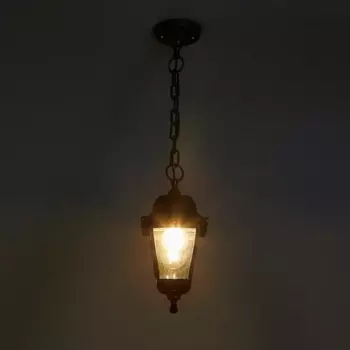 Светильник уличный подвесной PG32 60 Вт IP44 цвет черный
