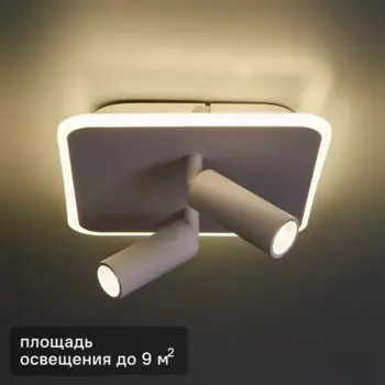 Светильник потолочный 20024SMA/01 цвет белый