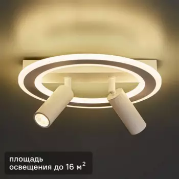 Светильник потолочный 20045SMA/03 цвет белый