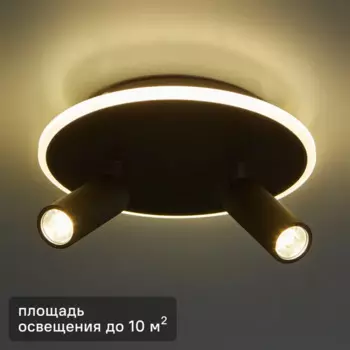 Светильник потолочный 20046SMA/02 цвет черный