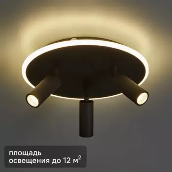 Светильник потолочный 20046SMA/03 цвет черный
