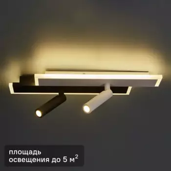 Светильник потолочный 20047SMA/01 цвет бело-черный