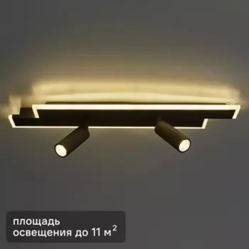 Светильник потолочный 20047SMA/02 цвет черный