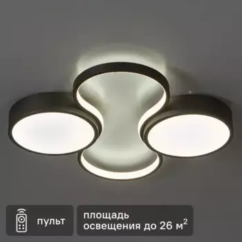 Светильник потолочный Freya FR10015CL-L63B