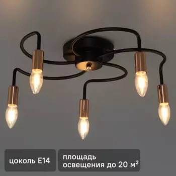Светильник потолочный Freya FR4010CL-05GB, 5 ламп, 20 м, цвет черный