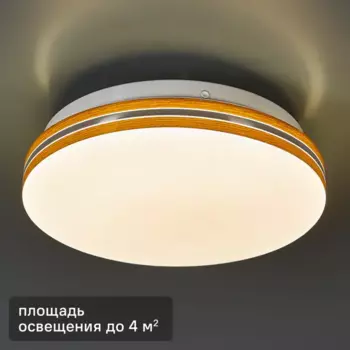 Светильник настенно-потолочный светодиодный Сонекс Smalli 3015/AL Led 12 Вт пластик нейтральный белый свет цвет белый