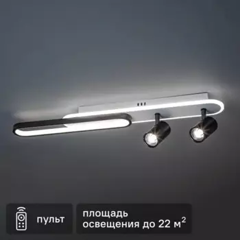 Светильник светодиодный «Lanterna» 516006 с пультом управления 22 м регулируемый белый свет цвет черно-белый
