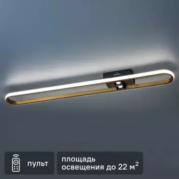 Светильник светодиодный «Lanterna» 516013 с пультом управления 22 м регулируемый белый свет цвет черно-белый