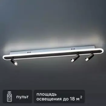 Светильник светодиодный «Lanterna» 516020 с пультом управления 18 м регулируемый белый свет цвет черный