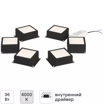 Светодиодная панель Эра SPO-646-3-4K-B6 36 Вт 310x120 мм 4000К IP40