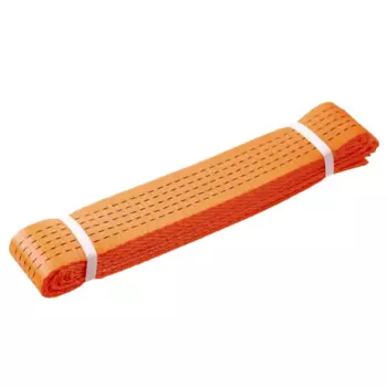 Такелажный ремень 5x500 см