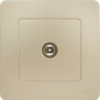 Телевизионный коннектор встраиваемый Systeme Electric Blanca цвет титановый