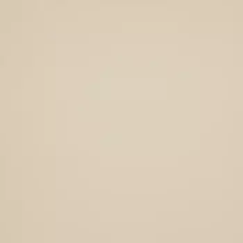 Тюль 1 п/м вуаль 295 см цвет бежевый