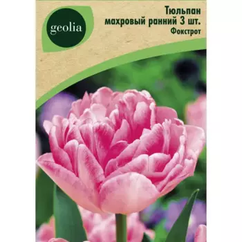 Тюльпан махровый ранний Фокстрот 3 шт.