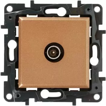 Розетка TV (телевизионная) - Legrand Structura - оконечная - шампань