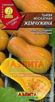 Тыква «Жемчужина»