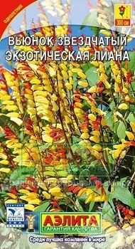 Вьюнок звёздчатый «Экзотическая лиана»