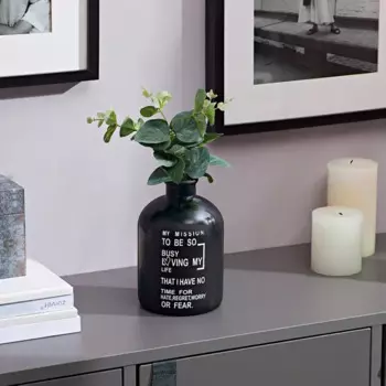 Ваза бутыль My Mission стекло черная глянцевая 17 см