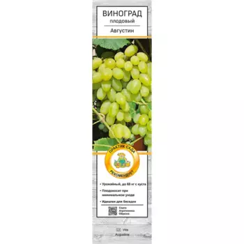 Виноград плодовый Августин коробка h59 см