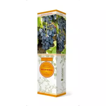 Виноград плодовый Кодрянка коробка h59 см