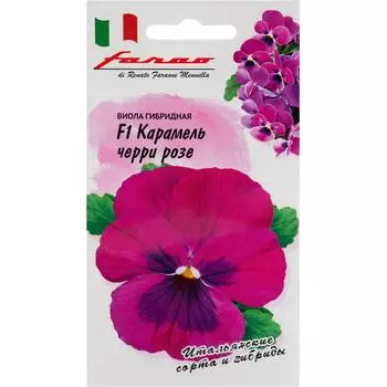 Виола «Карамель Черри Розе» F1