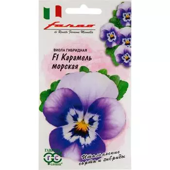 Виола «Карамель морская» F1