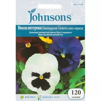 Виола Швейцарские гигантские