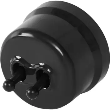 Выключатель Electraline двухклавишный тумблерный черный