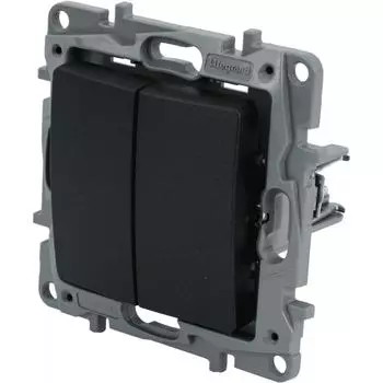 Выключатель двухклавишный - Legrand Etika - 10А 250В безвинтовые зажимы - антрацит