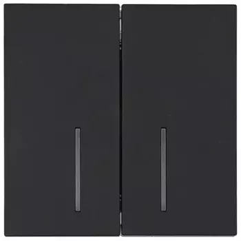 Выключатель встраиваемый Lezard Zima 2 клавиши с подсветкой цвет черный бархат