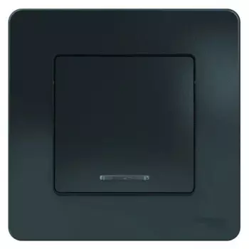 Выключатель встраиваемый Systeme Electric Blanca 10 А 1 клавиша цвет антрацит