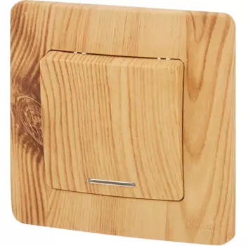 Выключатель встраиваемый Systeme Electric Blanca 1 клавиша с подсветкой 10 А цвет ясень