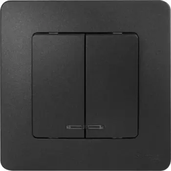 Выключатель встраиваемый Systeme Electric Blanca 2 клавиши цвет антрацит