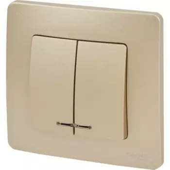 Выключатель встраиваемый Systeme Electric Blanca 2 клавиши с подсветкой цвет титановый