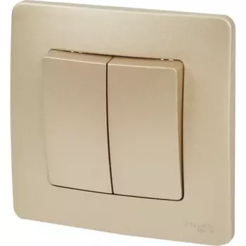 Выключатель встраиваемый Systeme Electric Blanca 2 клавиши цвет титановый