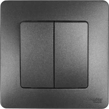 Выключатель встраиваемый Systeme Electric Blanca Сх5 2 клавиши цвет антрацит