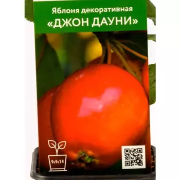 Яблоня декоративная Джон Дауни h90 см