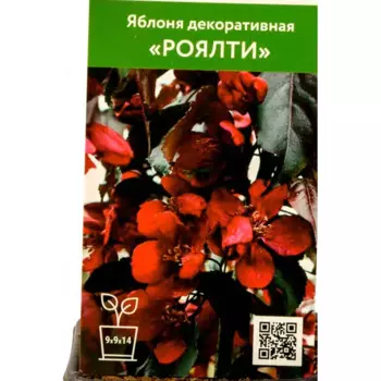 Яблоня декоративная Роялти h90 см